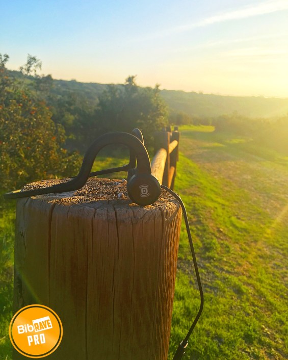 Processed with MOLDIV